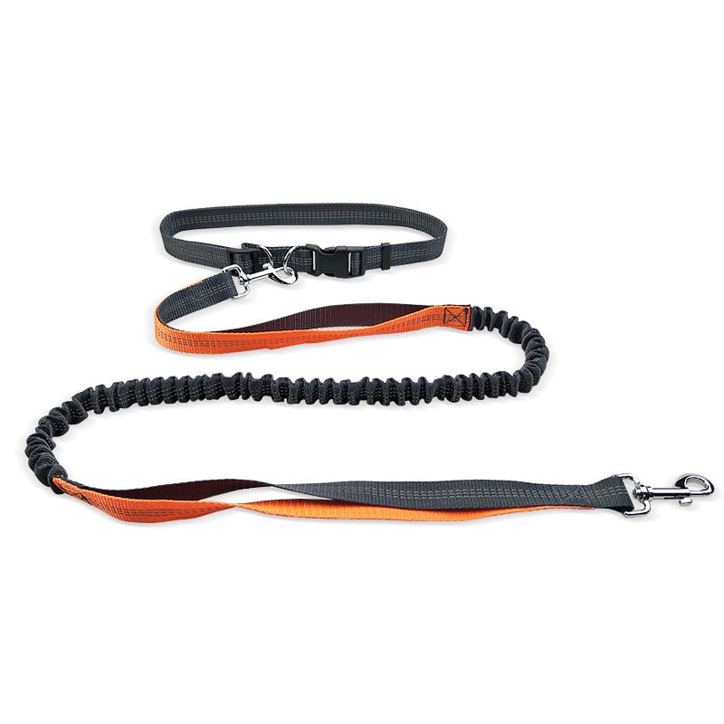 Pawsy Dog Walking Belt with Detachable Shockproof Leash