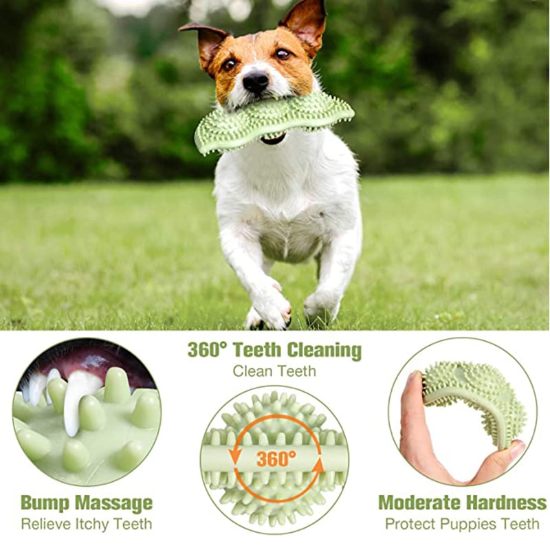 Pawsy Bite-Resistant Dog Toy