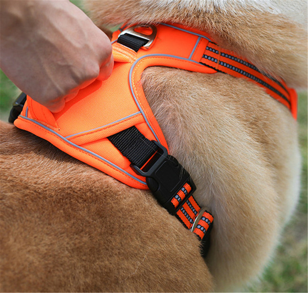 Pawsy Waterproof Pet Harness with Vertical Handle