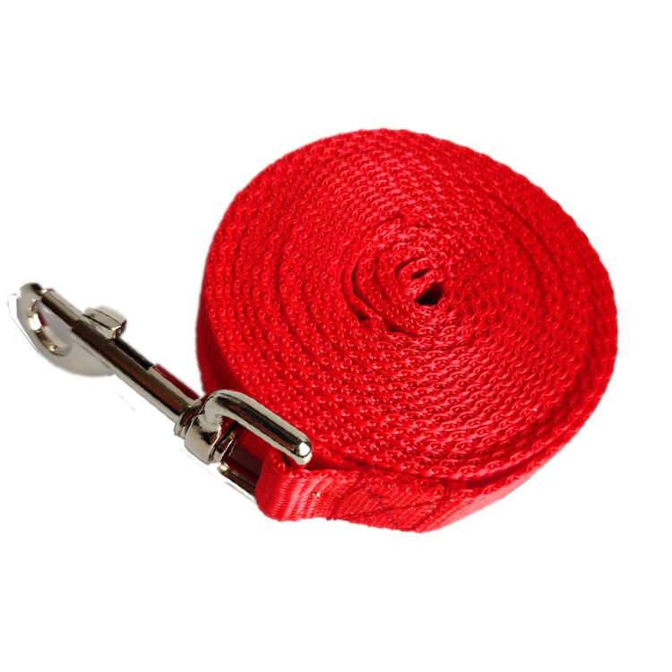 Pawsy 2.5CM Wide Long Dog Rope Leash