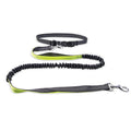 Pawsy Dog Walking Belt with Detachable Shockproof Leash