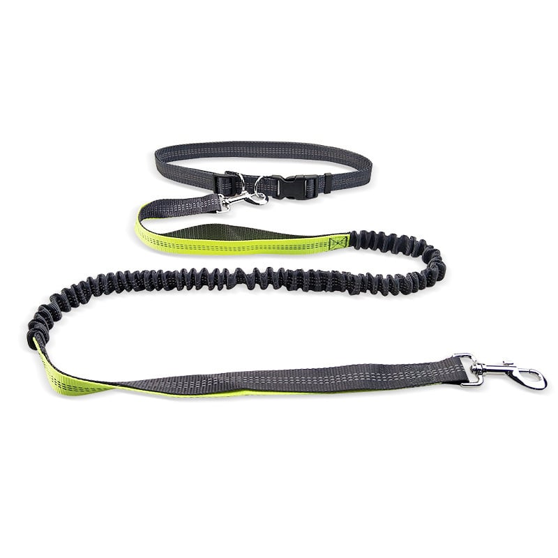 Pawsy Dog Walking Belt with Detachable Shockproof Leash