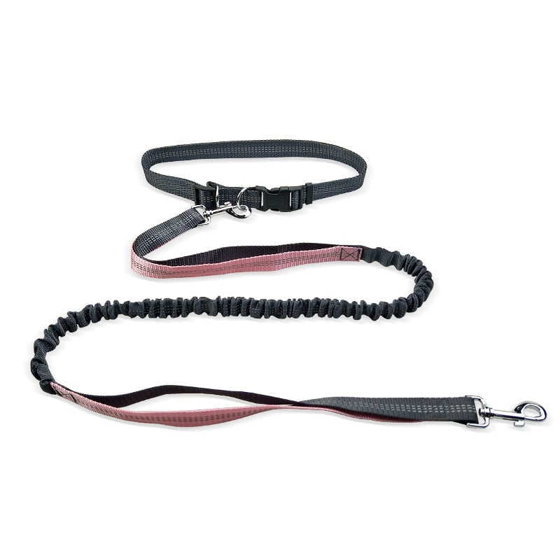 Pawsy Dog Walking Belt with Detachable Shockproof Leash