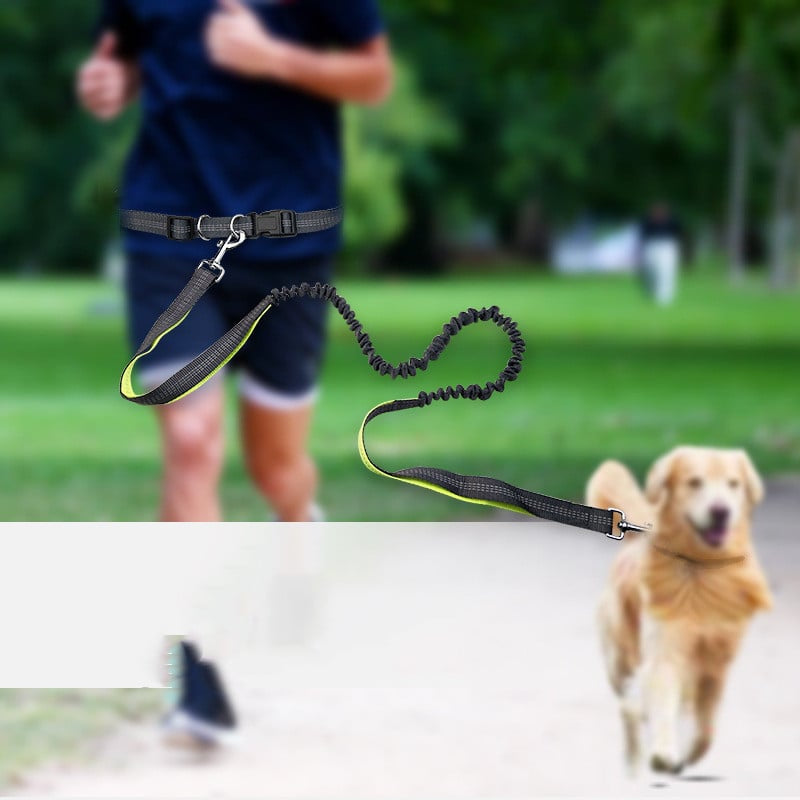 Pawsy Dog Walking Belt with Detachable Shockproof Leash