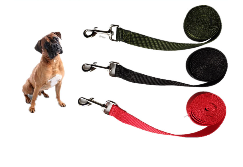 Pawsy 2.5CM Wide Long Dog Rope Leash