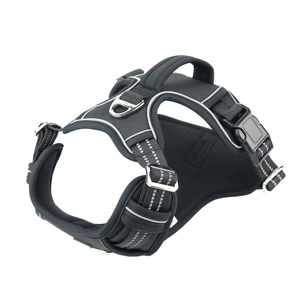 Pawsy Waterproof Pet Harness with Vertical Handle