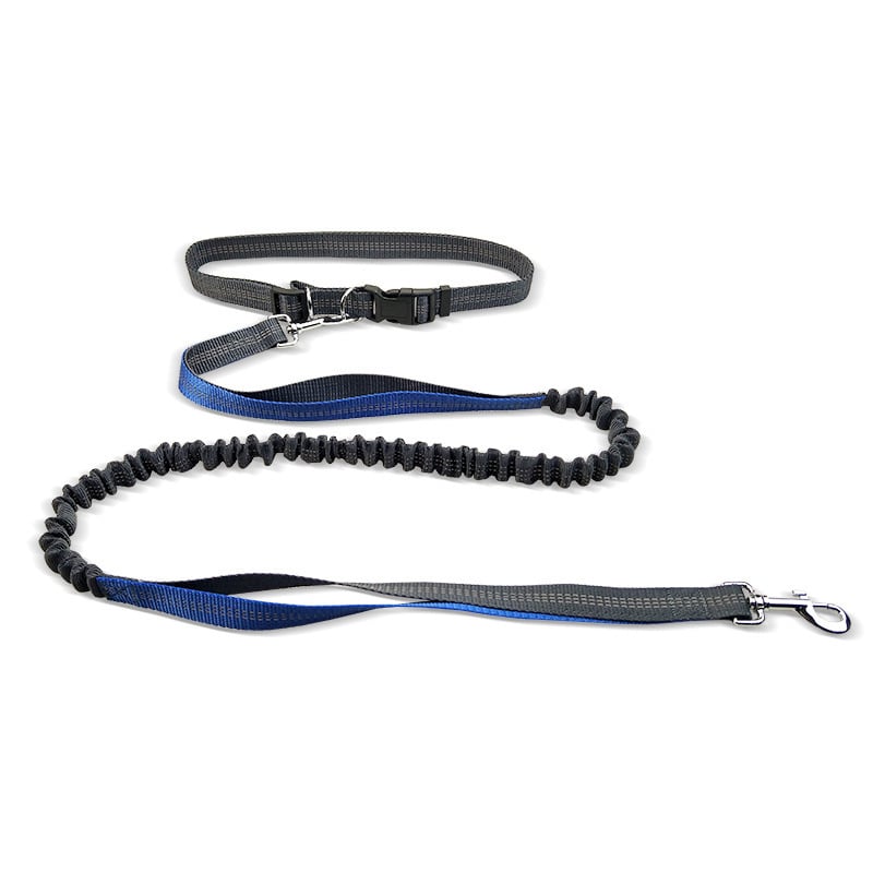 Pawsy Dog Walking Belt with Detachable Shockproof Leash