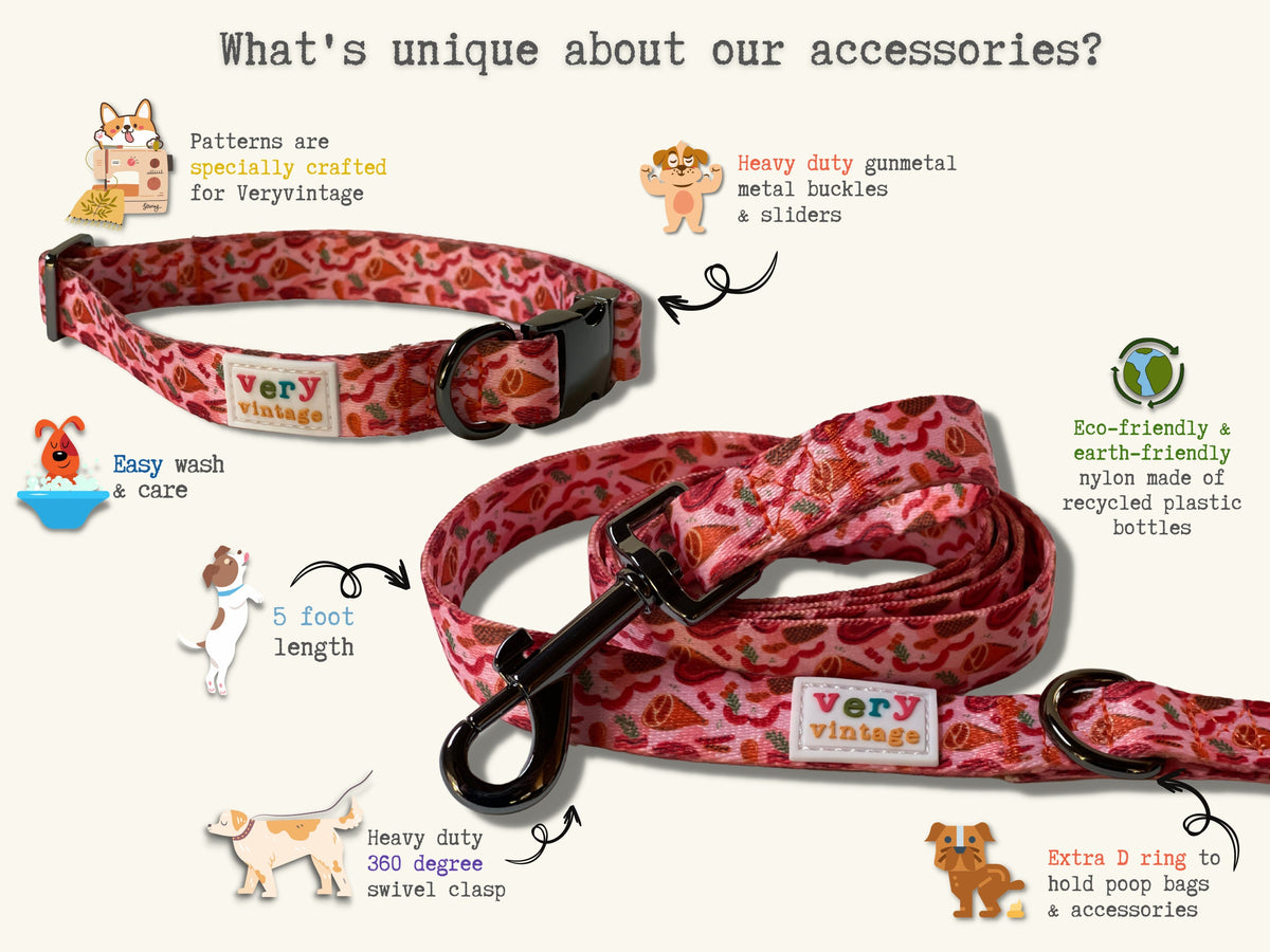 Western Dog Leash | Cowgirl Dog Leash | Cute Dog Lead | Pink Dog Leash | Cactus Dog Leash | 5Ft Nylon Leash | Small Dog Leash