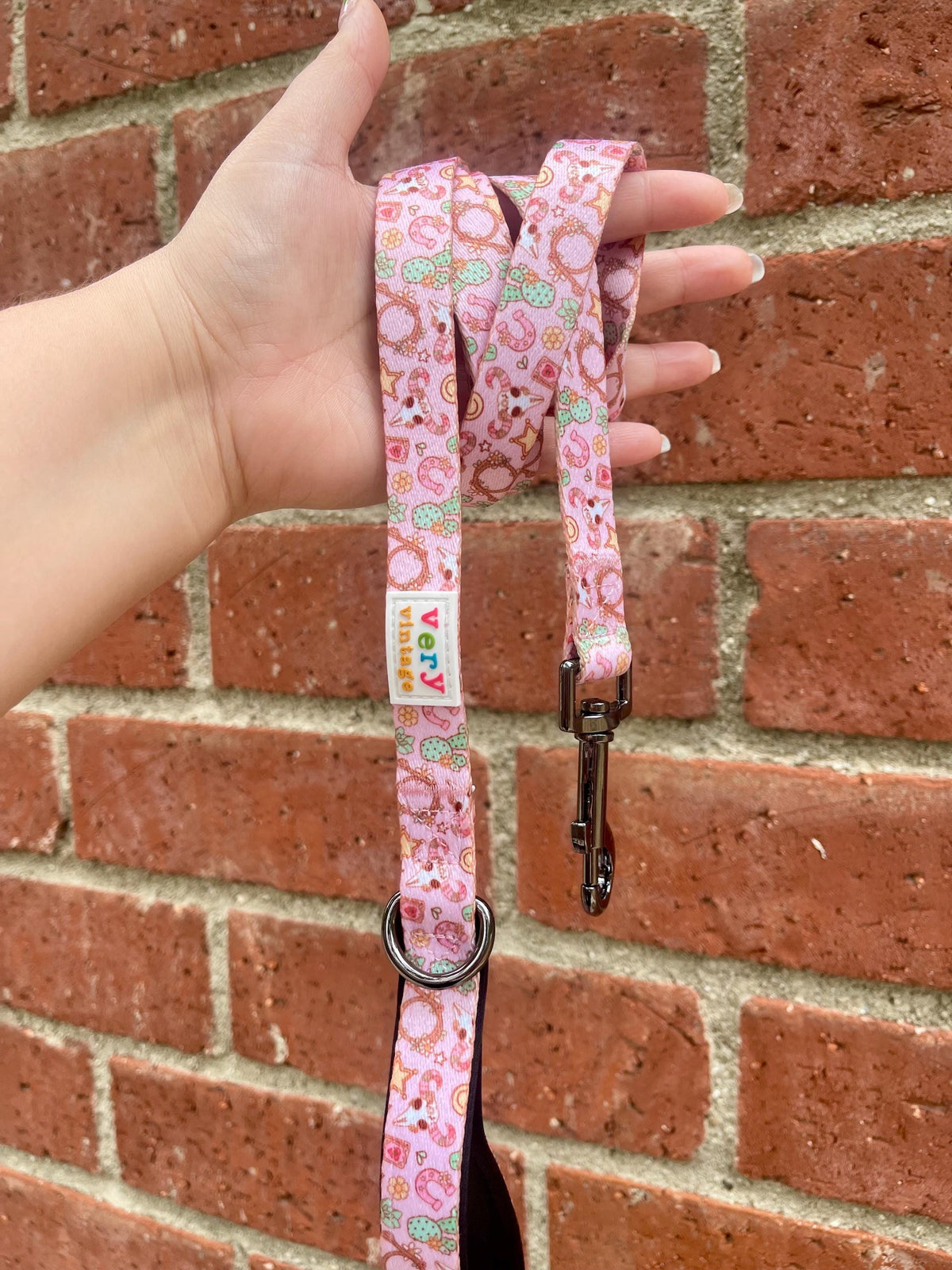 Western Dog Leash | Cowgirl Dog Leash | Cute Dog Lead | Pink Dog Leash | Cactus Dog Leash | 5Ft Nylon Leash | Small Dog Leash